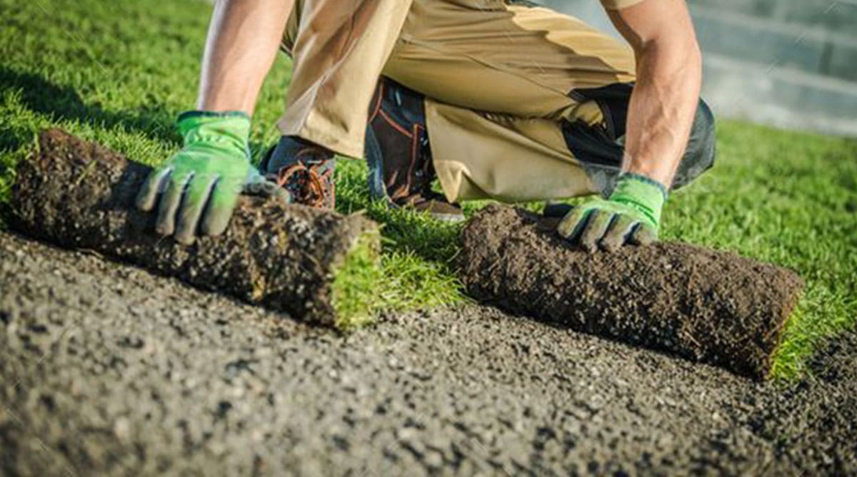 Rulo Çim Uygulaması