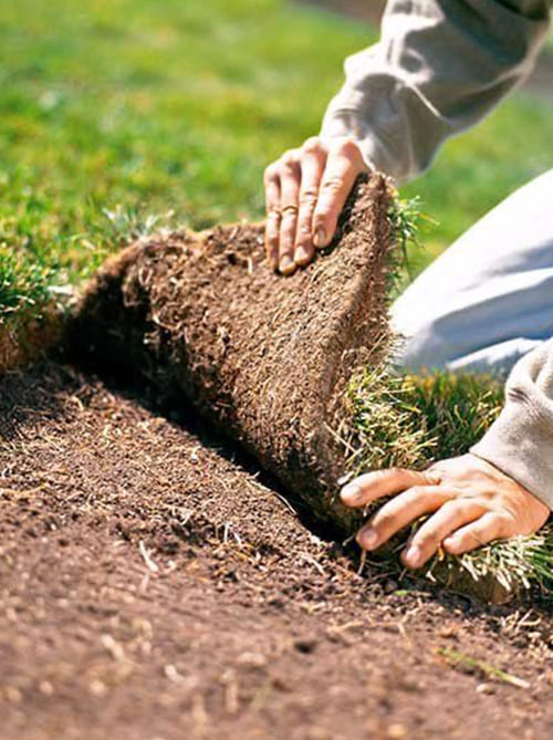 Rulo Çim Uygulaması