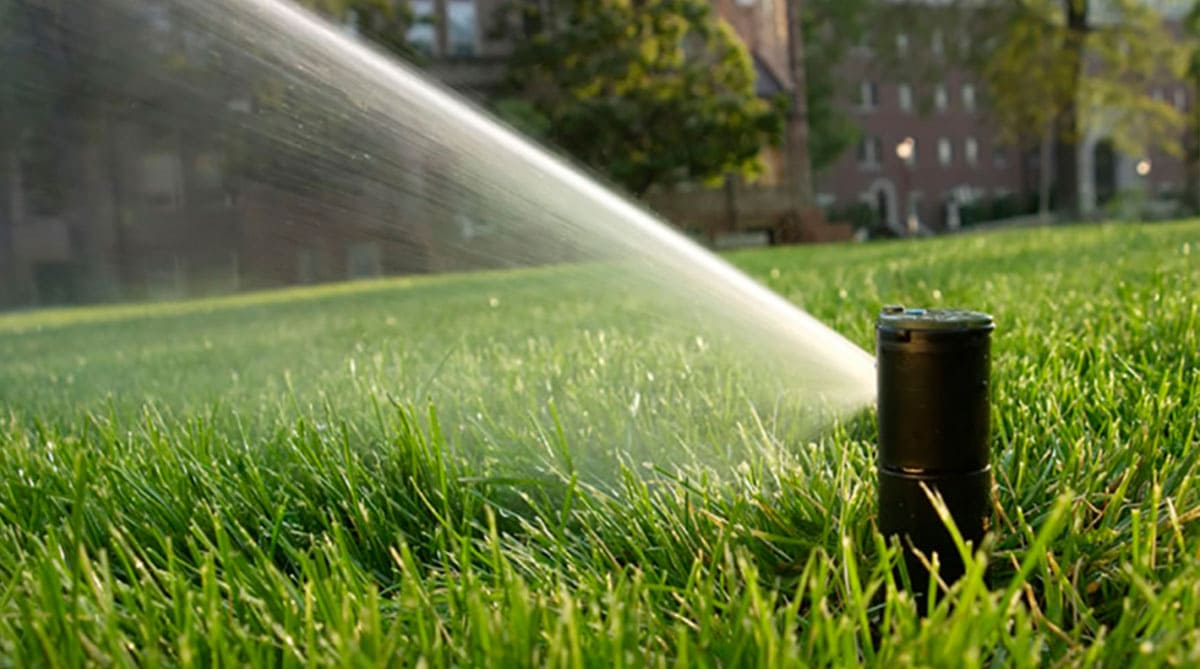 Yağmurlama Sulama Sistemi